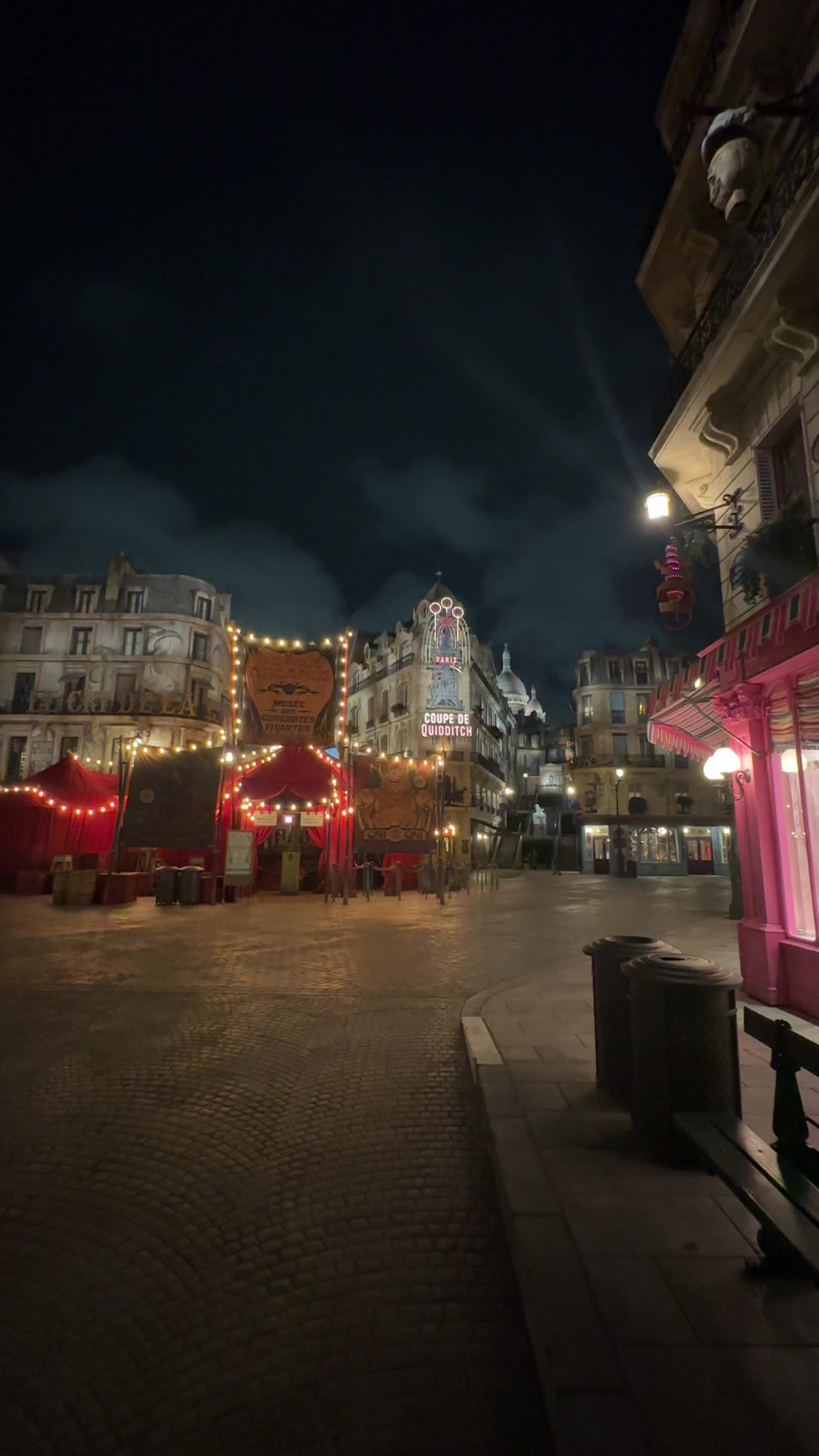 Dragons, Thunder, and the Neon Sky