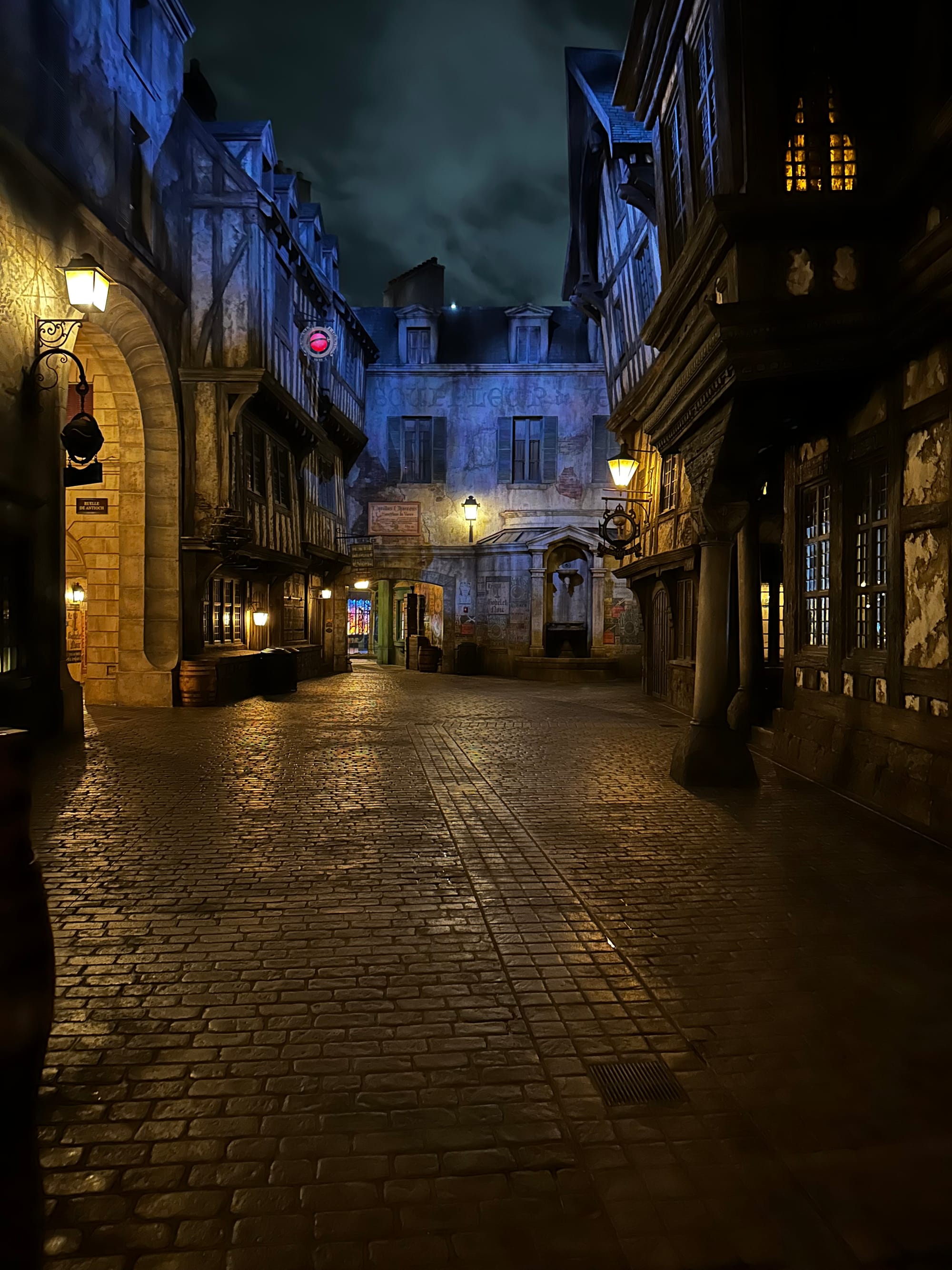 Dragons, Thunder, and the Neon Sky