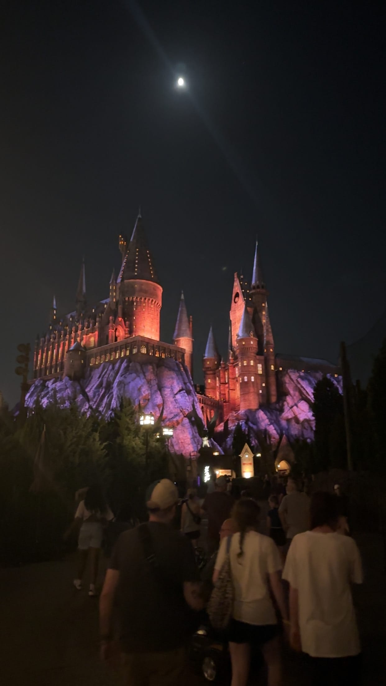 When the Neon Laughed and the Castle Glowed