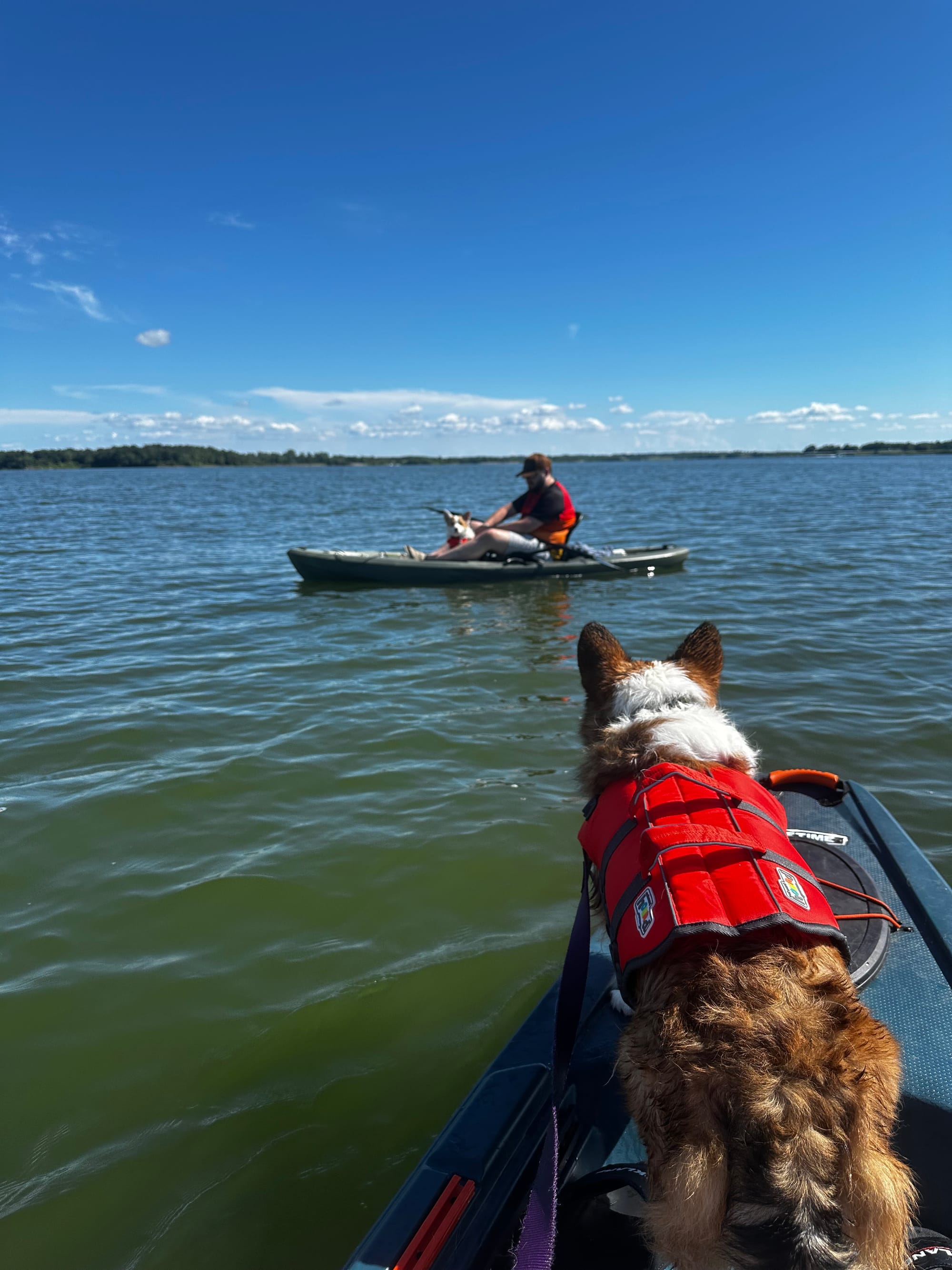 The Lake Hopper Chronicles